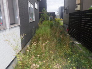 遺品整理の現場写真